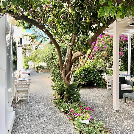 Albatross Отель