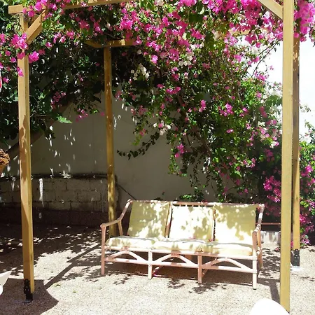 Albatross Livadi (Serifos)