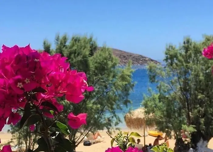 Szálloda Albatross *