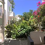 Hotel Albatross Livadi (Serifos)