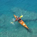 Albatross *