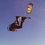 Albatross