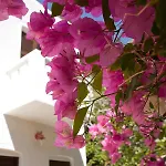 Albatross Hotel Livadi (Serifos)
