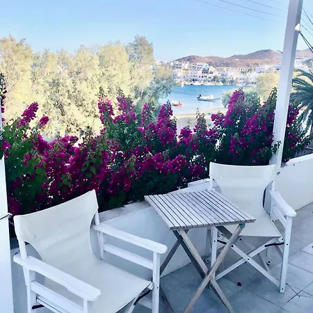 Albatross * Livadi (Serifos)