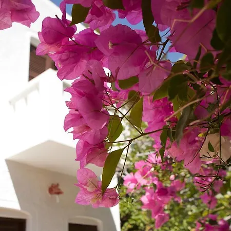 Albatross Hotel Livadi (Serifos)