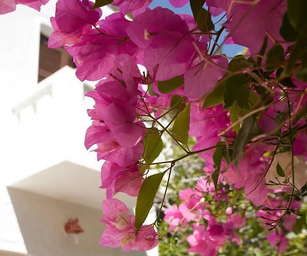 Albatross Hotel Livadi (Serifos)