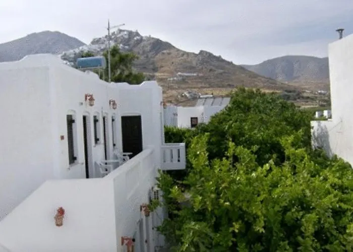 Albatross Livadi (Serifos)